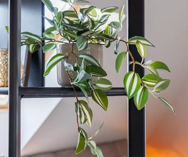 Cozy Spacious Loft! Great For Longer Stays! *