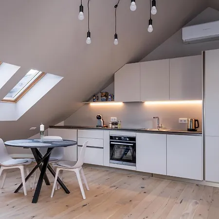 Cozy Spacious Loft! Great For Longer Stays! Apartment