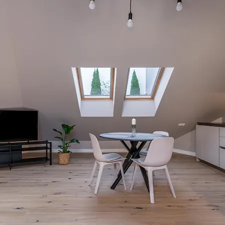 Apartment Cozy Spacious Loft! Great For Longer Stays!