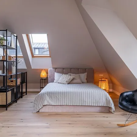 Cozy Spacious Loft! Great For Longer Stays! Apartment